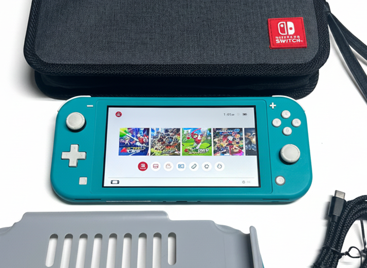 Modded Switch Lite Bundle